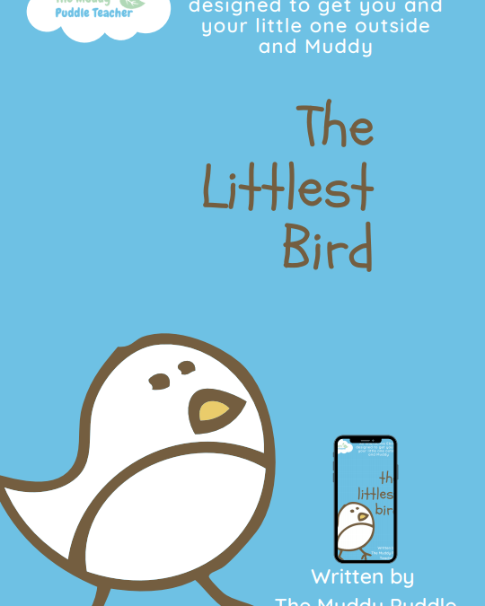 Outdoor EBook The littlest Bird (Comprehension)