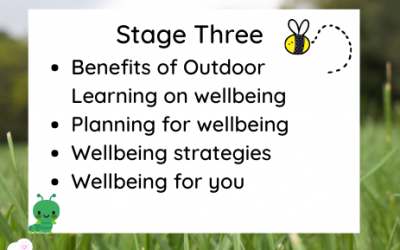 Level 3 – Embedding Wellbeing