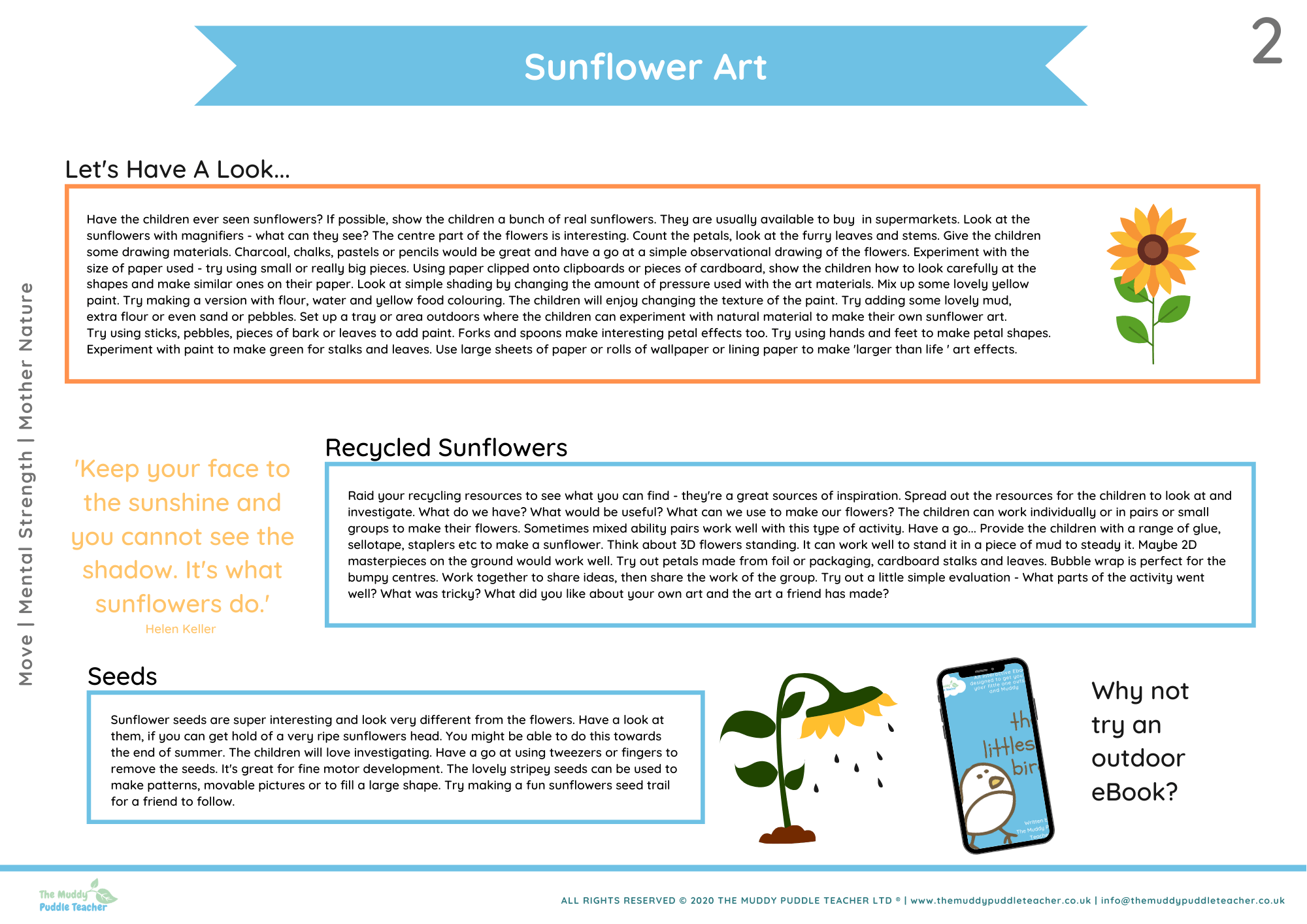 sunflowers early years