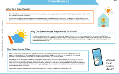 Indoor Garden Experiments KS2