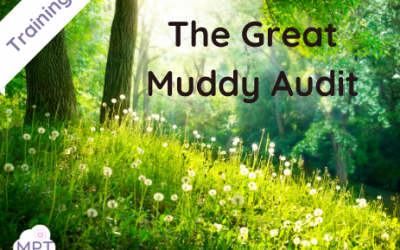 The Great Muddy Audit