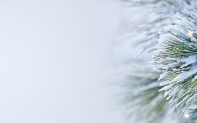 Outdoor Learning at Christmas