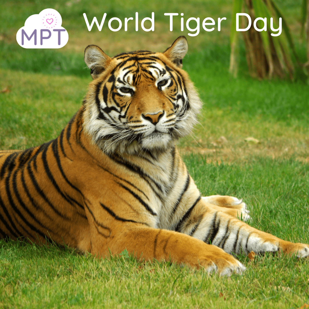 world tiger day eyfs