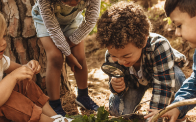 Outdoor Learning Resources