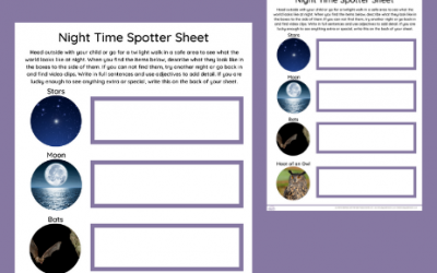 *FREE*Night Time Spotter Activity Sheet