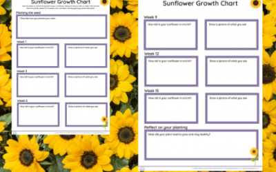 Sunflower Day Growth Chart – EYFS/KS1