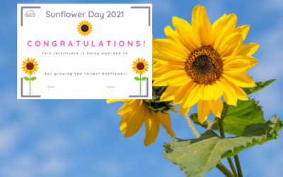 Sunflower Day Certificate