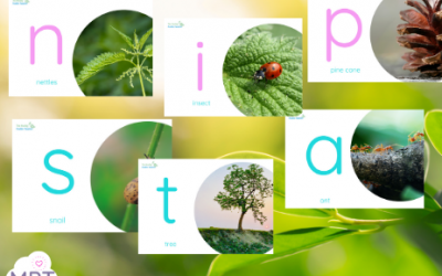 Phase Two Phonics Nature Posters