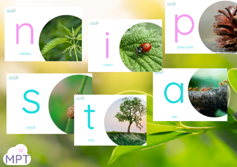 phase two phonics nature posters