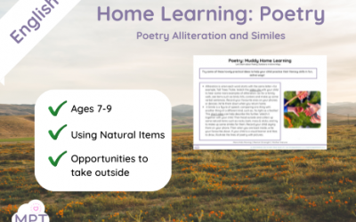 Poetry Alliteration and Similes (Home Learning)