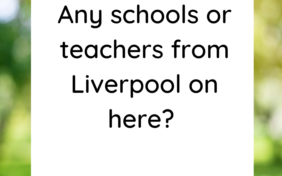 School Improvement Liverpool (EYFS)