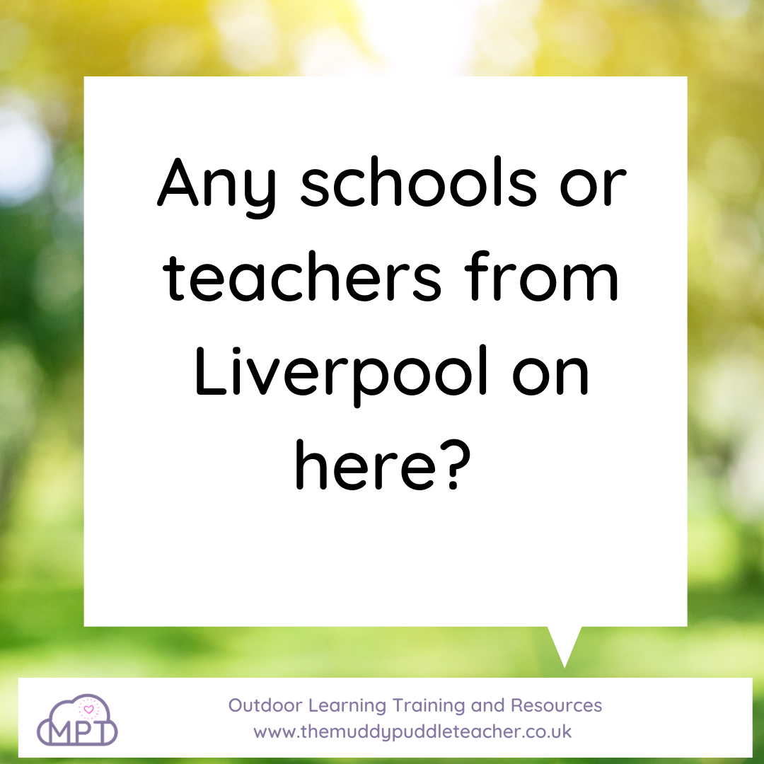 school improvement liverpool