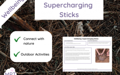 Supercharging Sticks (Wellbeing)