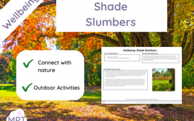 Shade Slumbers (Wellbeing)